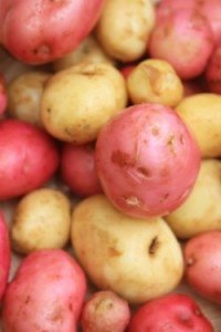 Potatoes