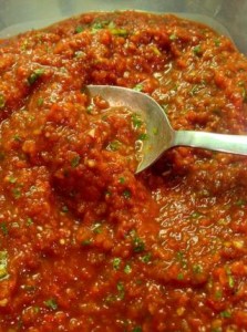 salsa food processor