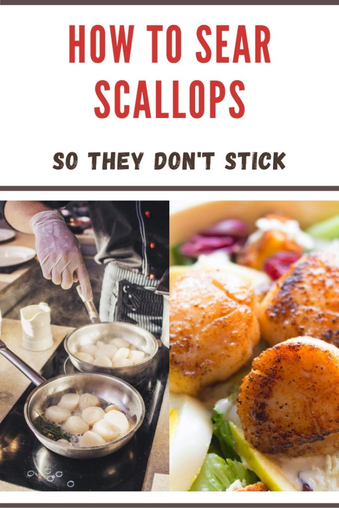 pan sear scallops recipe