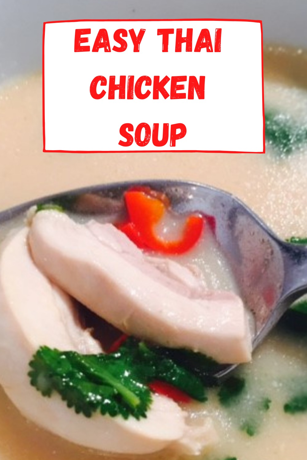 Thai Chicken Soup