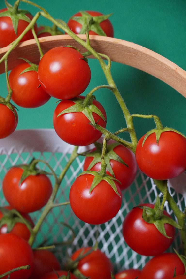 GARDENING BENEFITS