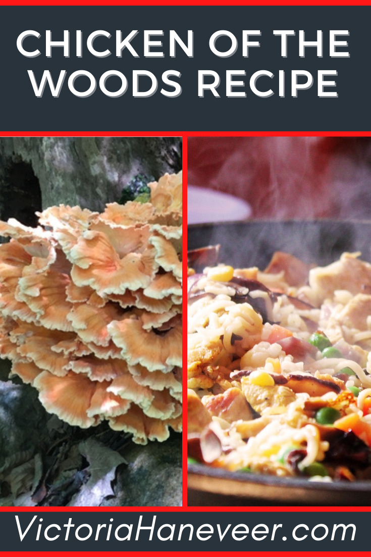 saute chicken of the woods