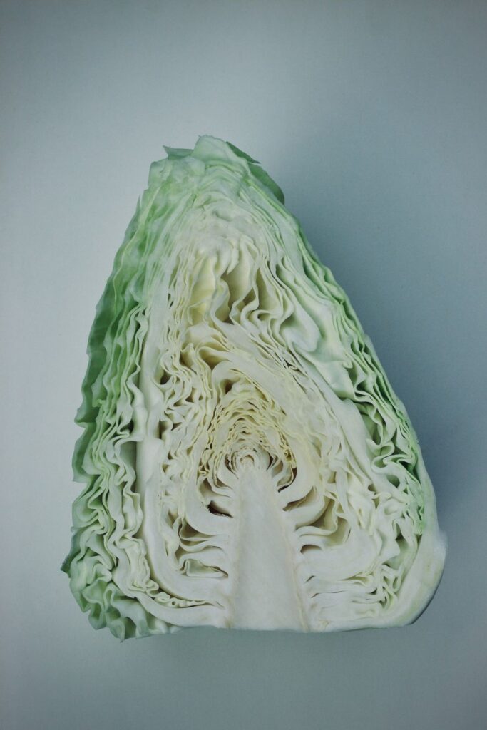 A hispi cabbage cut in half lengthwise.