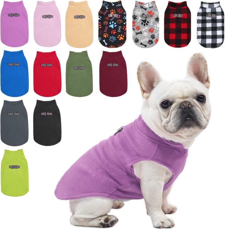 dog coats