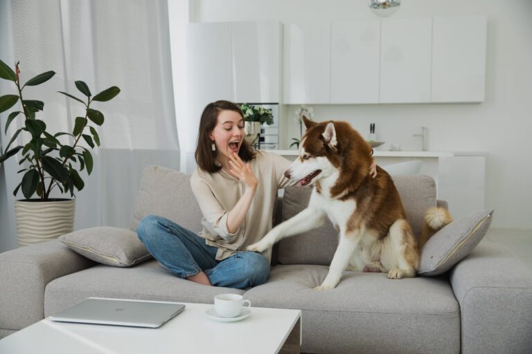 best dog routine