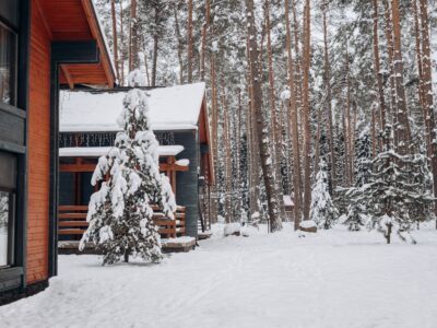 a snowy garden in front of a house