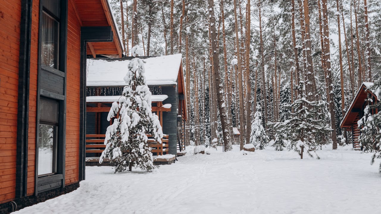 a snowy garden in front of a house