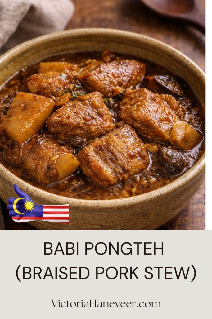 Malaysian pork stew known as babi pongteh.