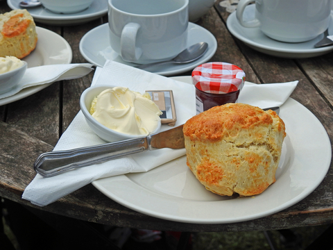 English scone with clotted cream and jam on a white plate.